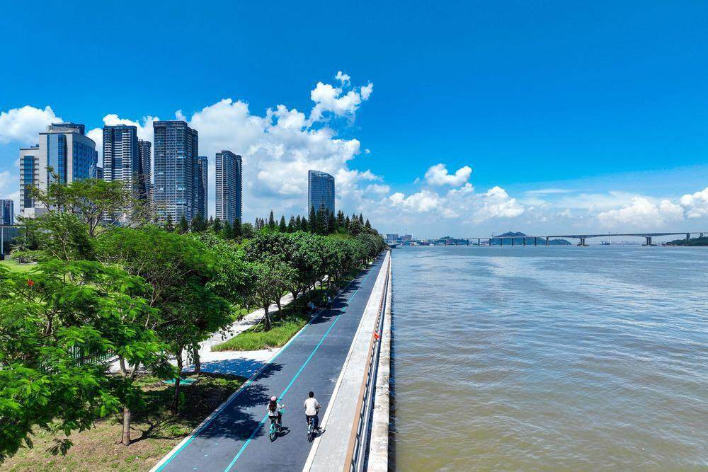 高标准筹备, 拼经济